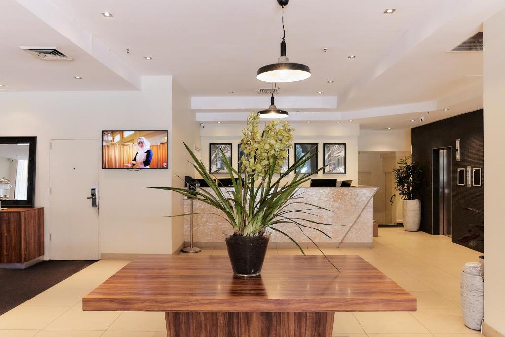 悉尼Central Studio Hotel Sydney的客厅里摆放着植物的桌子