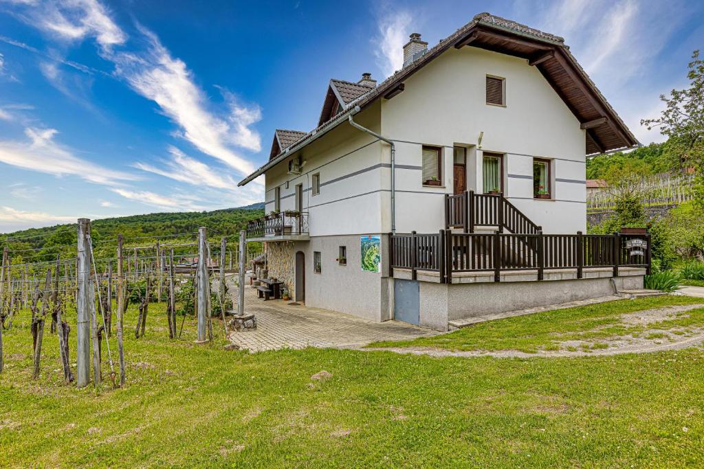 DragatušVineyard Homestead Vrtin - Happy Rentals的带阳台的白色房屋和草地庭院
