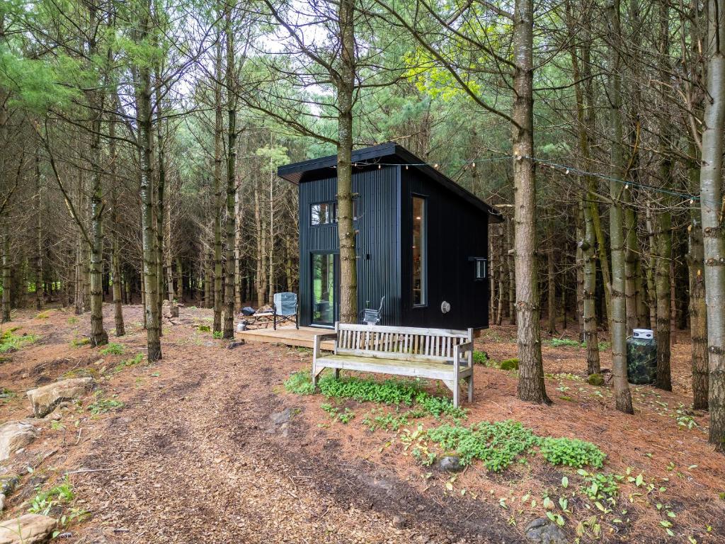 ChatsworthLittle Cabin in the Pines的树林里的一个黑小房子,有长凳
