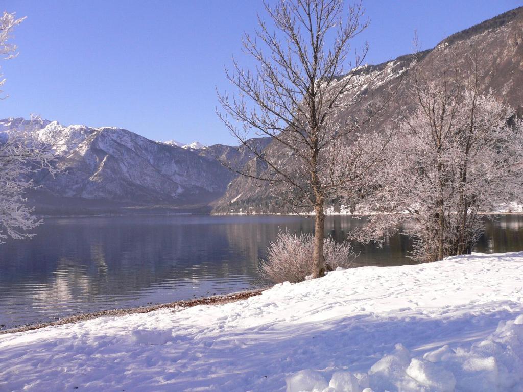 博希尼Apartment Cesar的雪覆盖的湖泊,两棵树和山脉