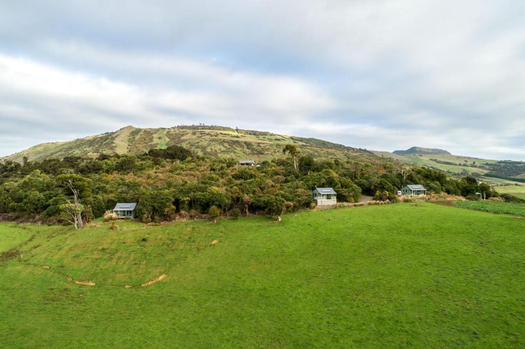 OwakaMohua Park - Catlins Eco Accommodation的山顶上带房屋的绿色田野