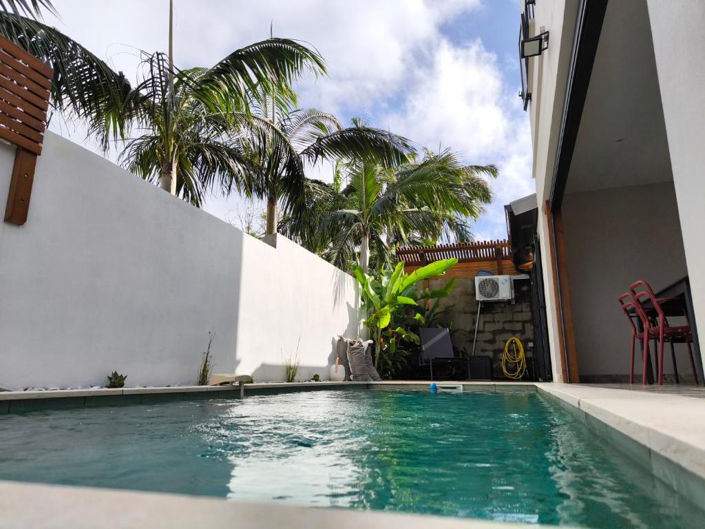 圣若瑟VILLA O'LHAYA piscine pivée的棕榈树房子后院的游泳池