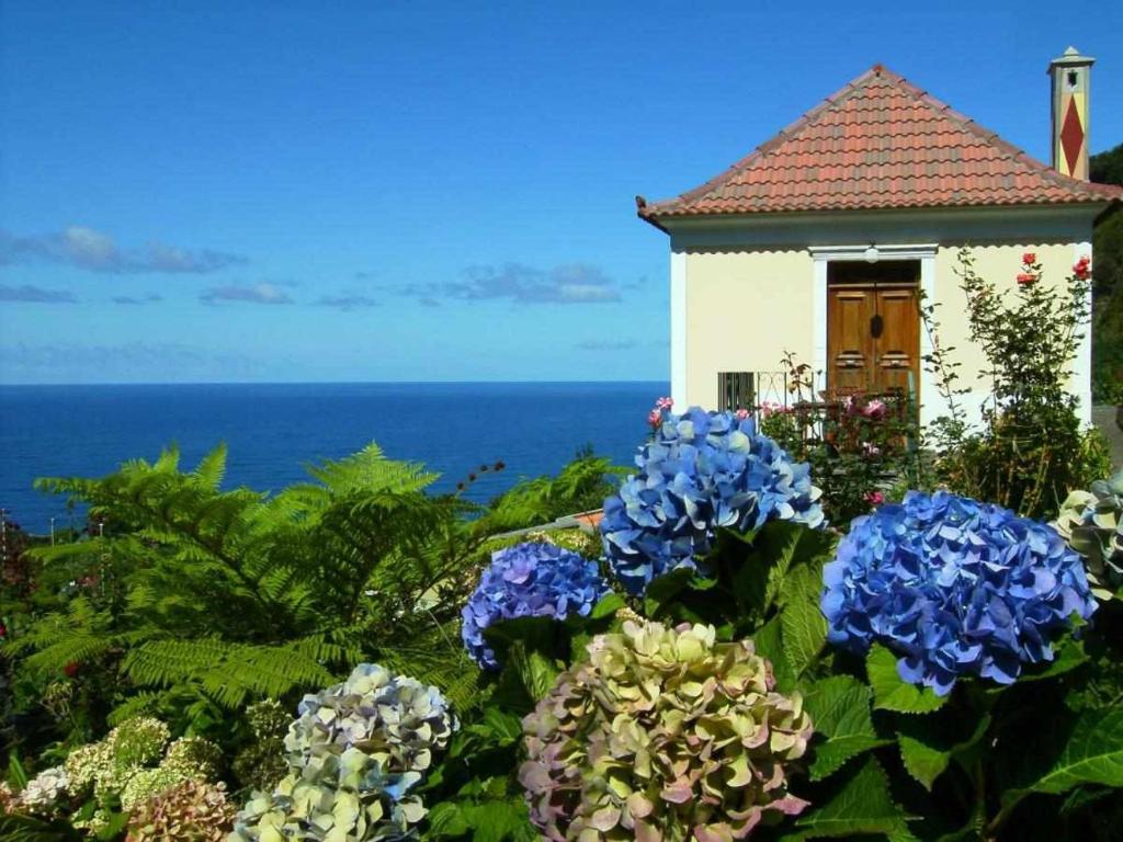 Arco de São JorgeQuinta das Hortênsias的大海前方的蓝色花房