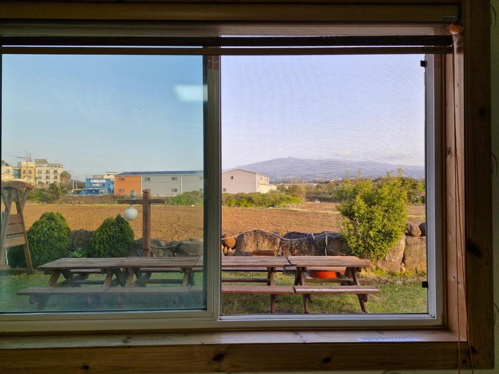 济州市나무집 게스트하우스的窗户,带野餐桌,享有田野景色