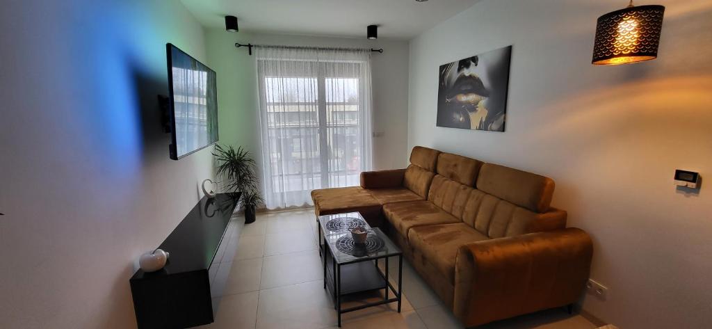 莱格尼察Apartament JB 56m2 parking,balkon,2sypialnie的客厅设有棕色的沙发和窗户。
