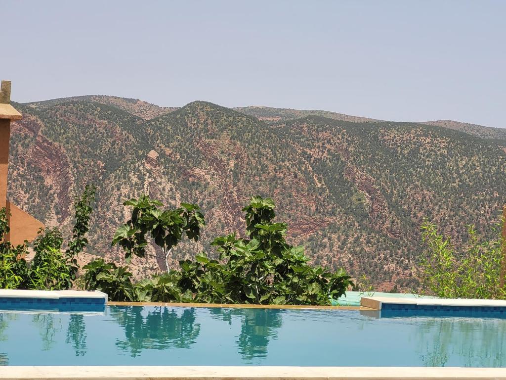 OuzoudChambre d'hôtes aya的一座山地游泳池