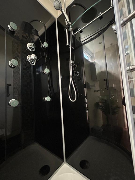霍利Dana guest suite的浴室里设有玻璃门淋浴