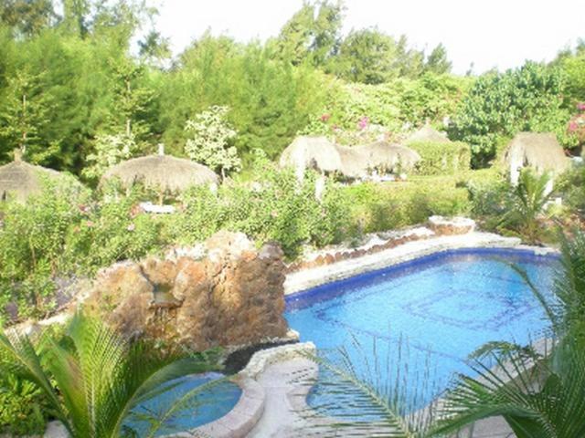 尼亚加乐卡劳杜拉客玫瑰酒店的花园内的大型游泳池
