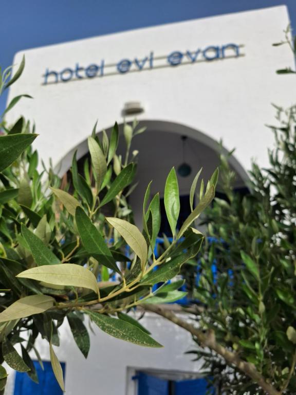 加利萨斯Εvi Evan Hotel的建筑物前有标志的树