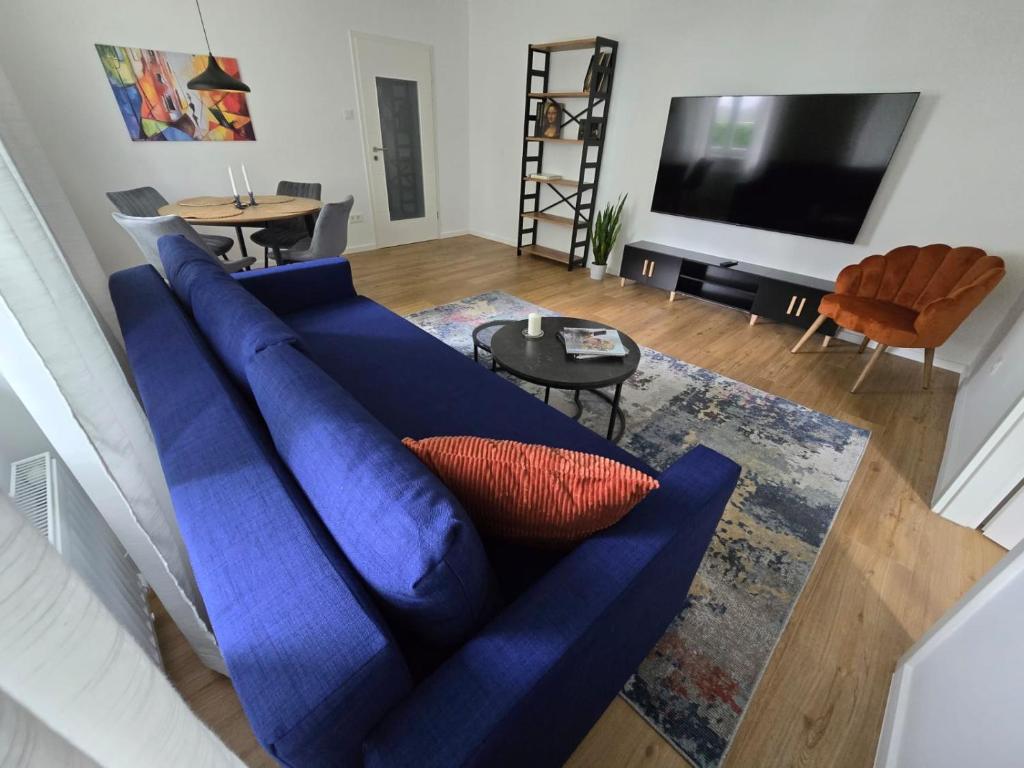 因河畔布劳瑙Central stylish apartment的客厅配有蓝色的沙发和电视