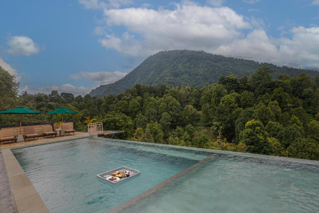 新加拉惹Munduk Kupang Sekumpul Villa的一个带有水盘的游泳池,山