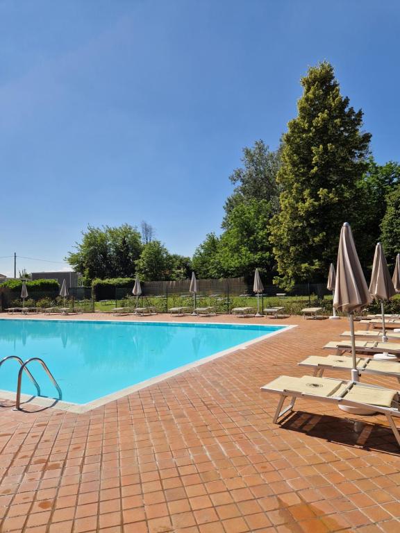 博洛尼亚奇塔迪博洛尼亚中央旅游酒店的一个带躺椅和遮阳伞的游泳池