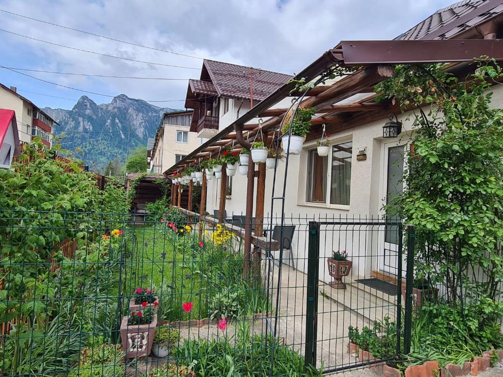布什泰尼Casa Farcaș Bușteni的一座带围栏的房屋和一座鲜花盛开的花园