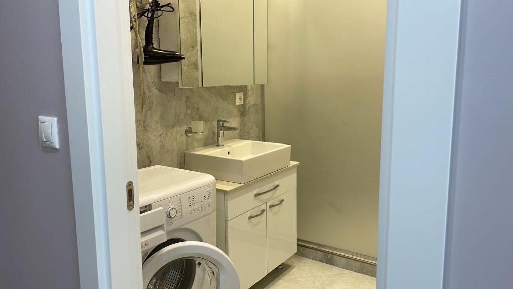 巴统巴尔马拉尔酒店公寓的一间带洗衣机和水槽的浴室