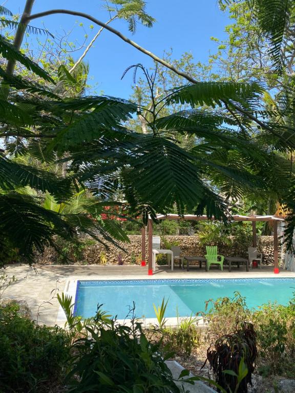圣安德烈斯Casona La Carolina的花园内的游泳池
