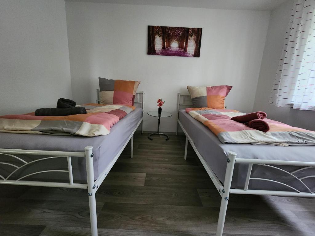 希尔金根Ferienwohnung Delina Riedheim的双床间设有2张单人床。