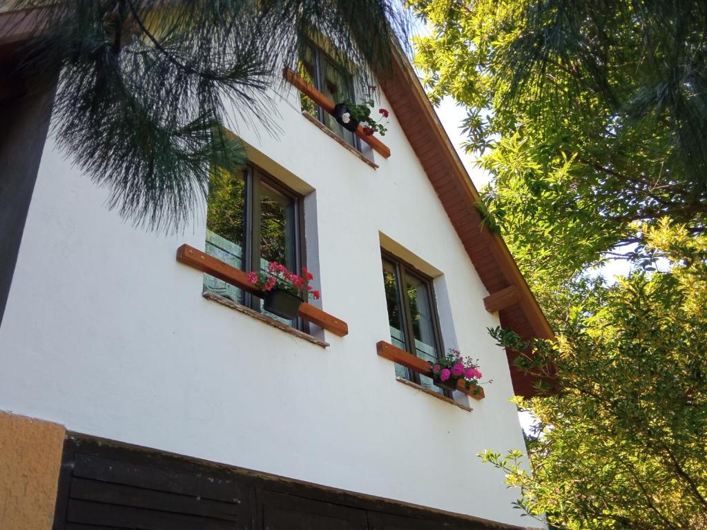 韦莱姆Pele vendégház的两扇窗户,位于花房的一侧