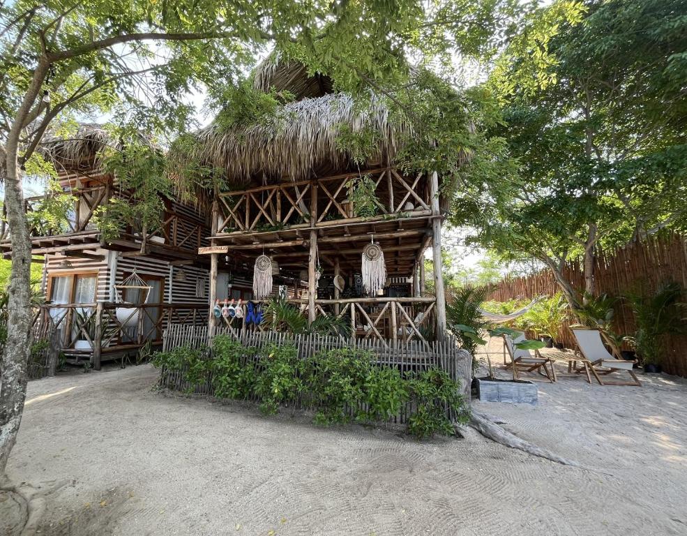布兰卡滩Thani Ecobeach Barú的草屋顶树屋