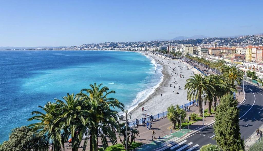 尼斯L'Échappée de Nice Riviera I Centre-ville I Climatisé I Proche Gare et Plage I Idéal Couple et Famille的享有棕榈树海滩和大海的景色