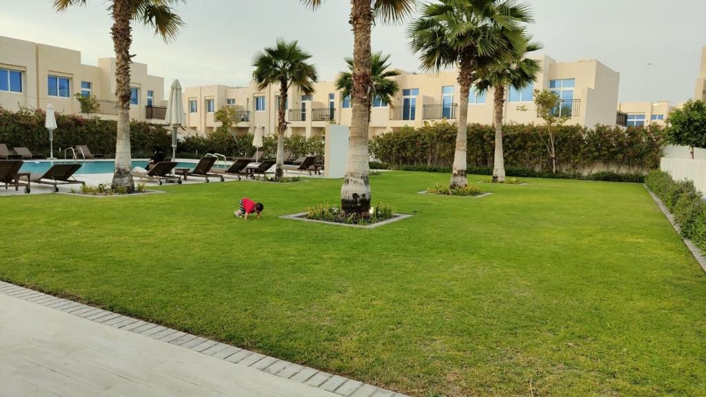 迪拜Damac Hills 2 Retreat- Tranquil Luxe, Beyond City with waterpark的一只狗站在棕榈树公园里