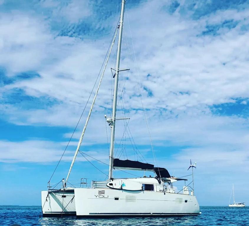Isla Wichitupo GrandePrivate Catamarán With Crew - YOLI Lagoon 40 feet - All Inclusive的一艘白色帆船坐在海洋的水中