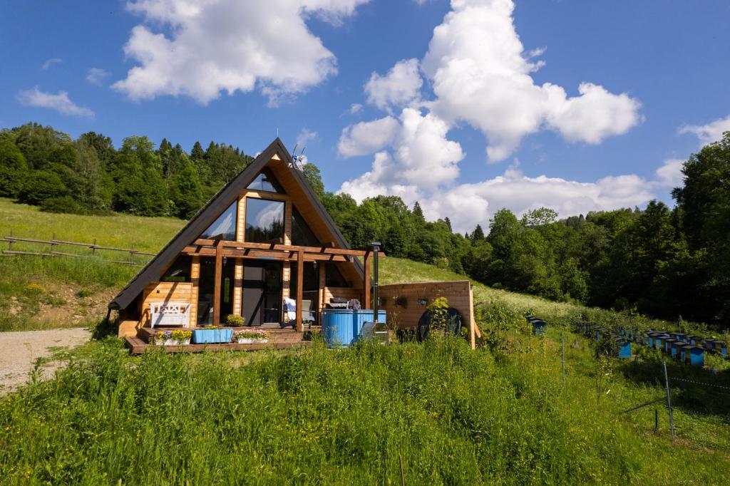 齐斯纳Bieszczadzka Samotnia的正在田野上建造的房子