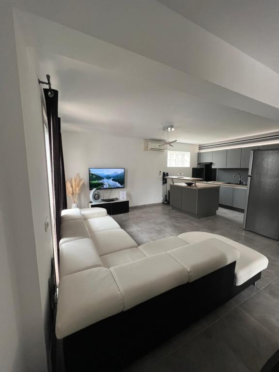 博尔马斯·莱斯·米默萨斯Villa LEOVI Superbe logement 3 pieces - 7 personnes, à 100m plage la Faviere的带沙发的客厅和厨房