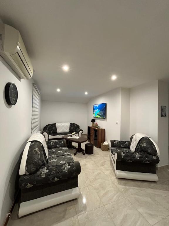 SurčinApartman Gold lux 2的客厅配有两张沙发和一台电视机