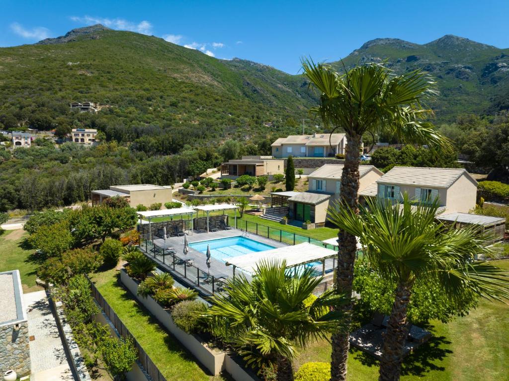 法雷诺U San Daniellu villas et chambres的享有带游泳池和棕榈树的别墅的空中景致