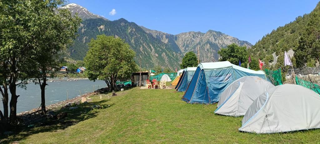 KanzalwanWILDWOOD Campsite Gurez的河岸边的一组帐篷