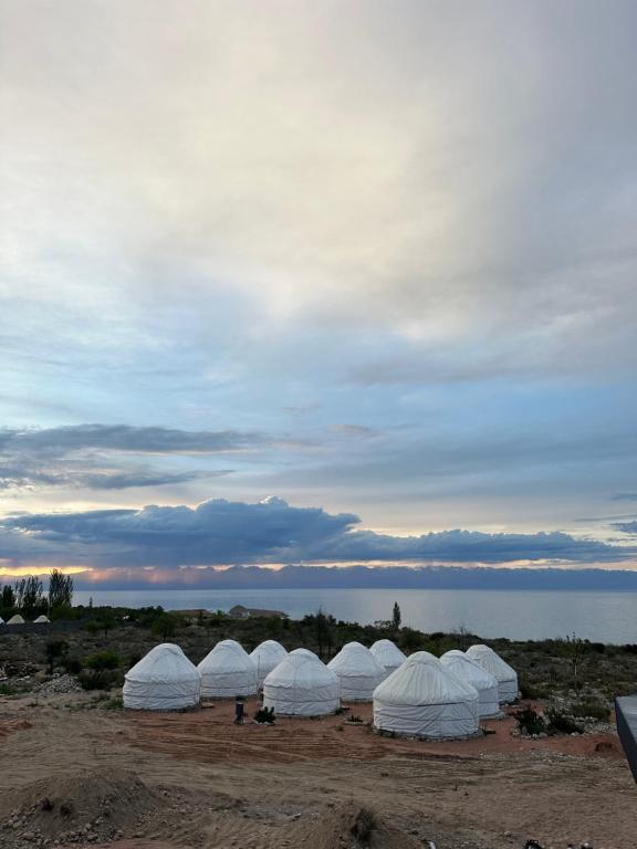 TongYurt camp Chyrak的一群坐在田野上的白色帐篷