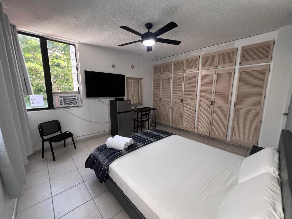 巴拿马城Habitación céntrica y espaciosa con A/A的一间卧室配有一张床和一台平面电视