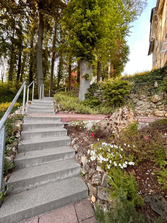 格奥尔根塔尔Traum-Ferienwohnungen Georgenthal的公园里树木和鲜花盛开的楼梯