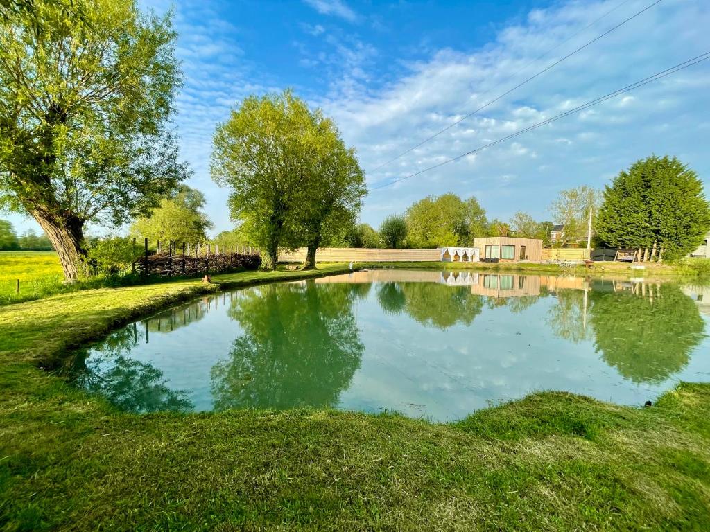 ArsimontCoeur Nature的草场中央的池塘