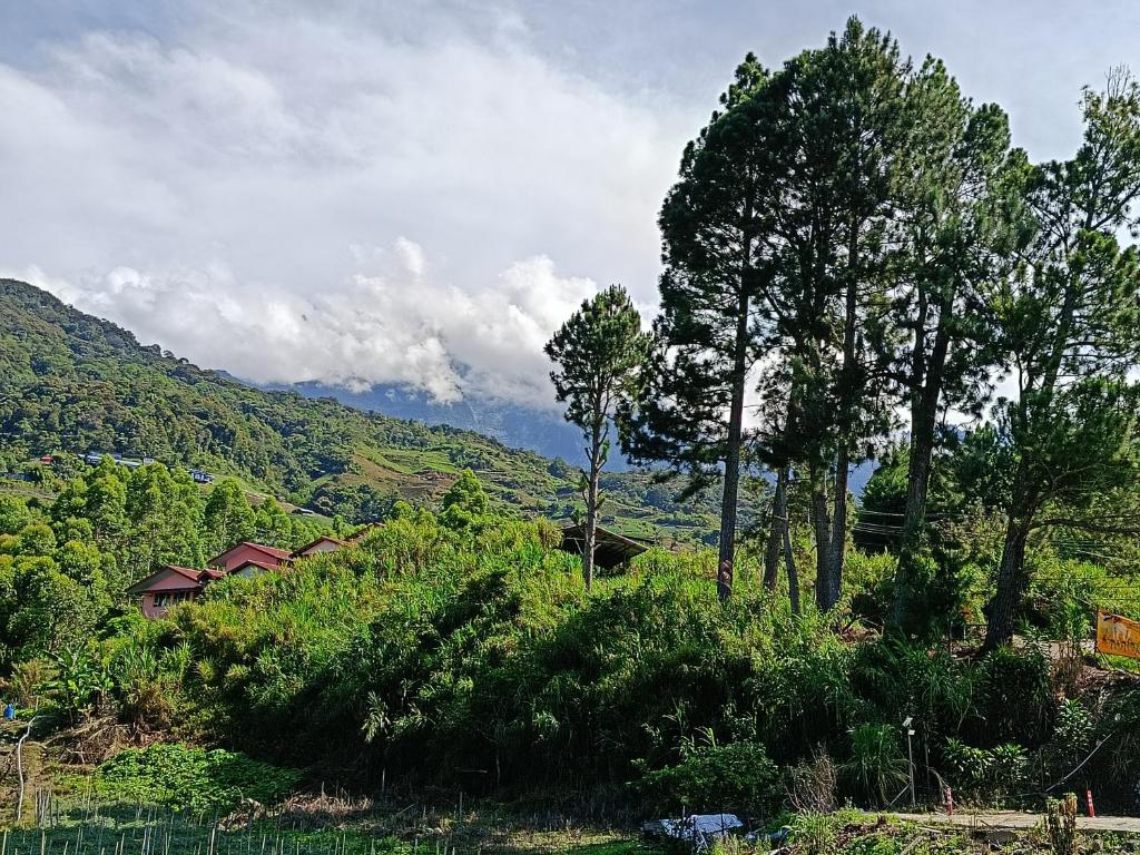 昆达桑Room MAK Romm的享有树木和房屋的山景