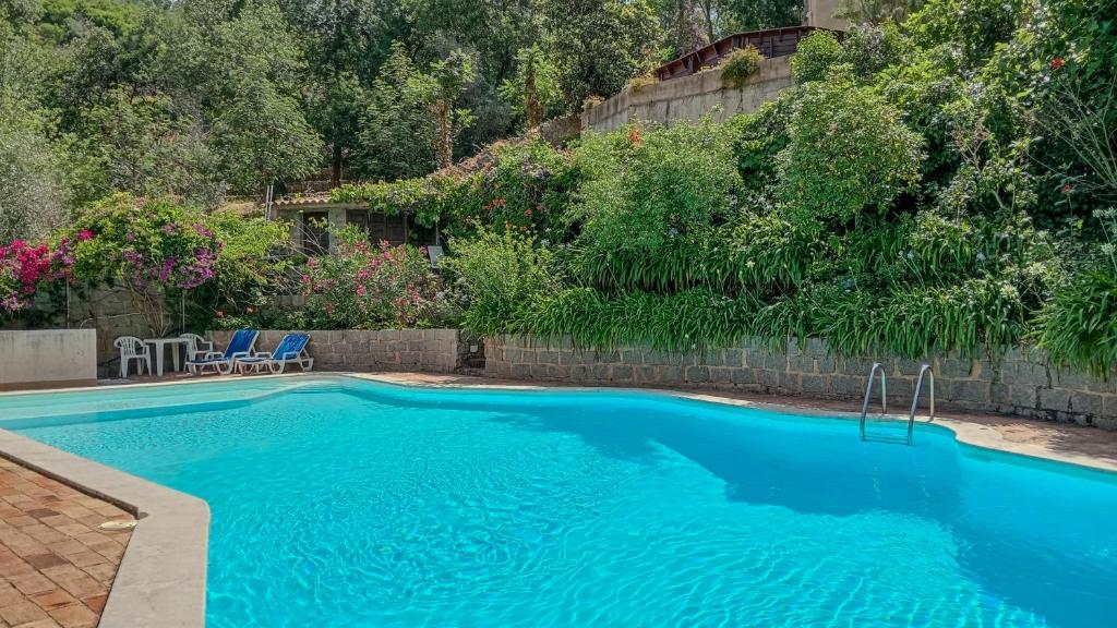 蒙希克阿尔贝加里亚拉格多宾馆的一座带椅子和植物的大型蓝色游泳池