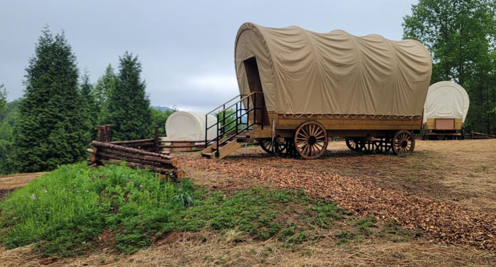 勒诺Covered Wagons Hill Camp - WAGON 1的田野上带帐篷的马车