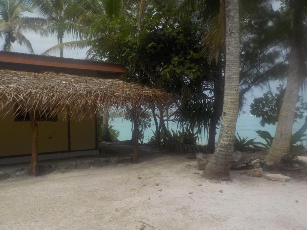 PareaCamping Hiva Plage的棕榈树和水的海滩上建筑