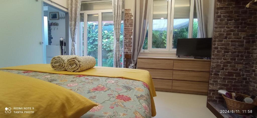 伊佐拉Apartma REA Izola, parking free的一间卧室设有一张床、一台电视和窗户。