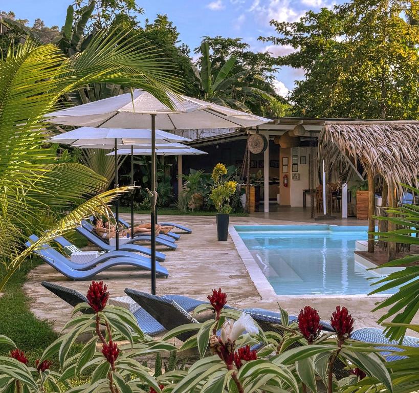 爱妮岛El Nido Moringa Resort的毗邻度假酒店的带椅子和遮阳伞的游泳池