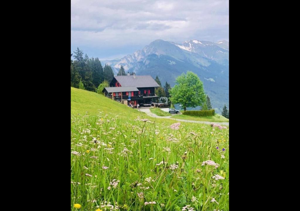 马里克斯Bergpension Battagliahütte的一座花田小山上的房子