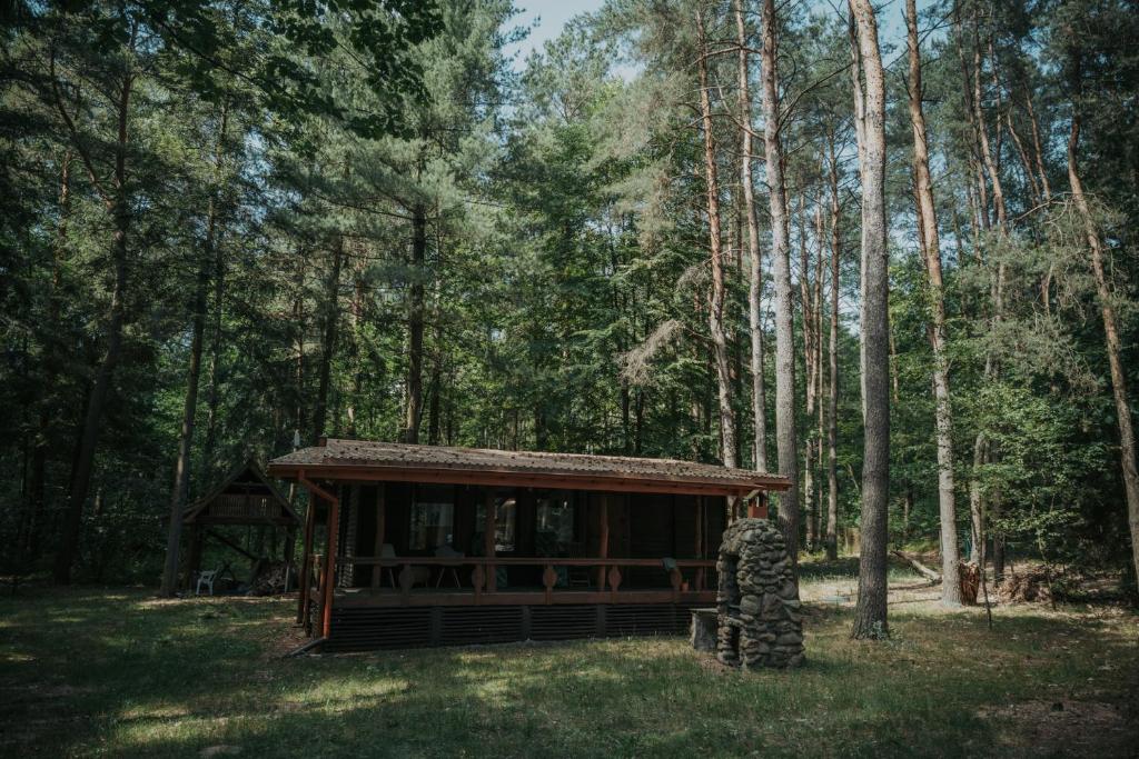 Wola PolskaForest Cabin - 50min od Warszawy的森林中间的小小屋