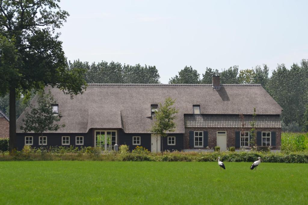 De BusBed & Breakfast de Bimd Hoeve的两只鸟站在房子前面的草上