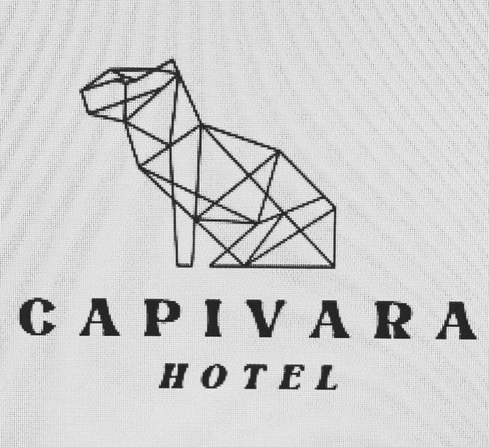 穆库热Hotel Capivara的鸟在旅馆标志上的图画