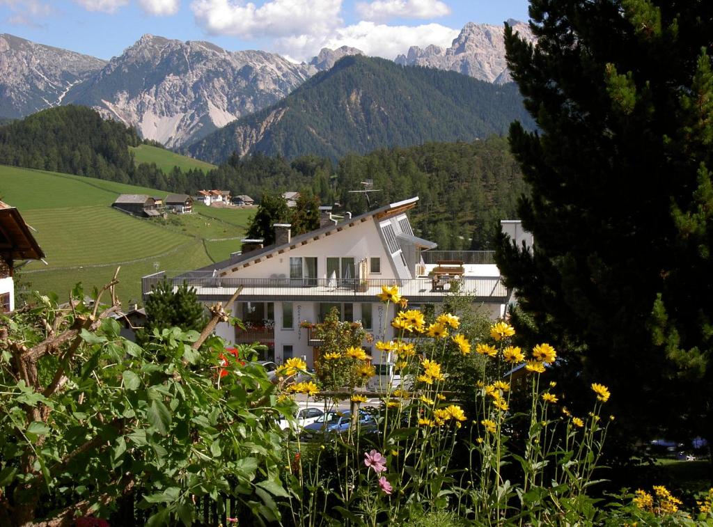安特尔莫伊亚Hotel Pütia的山中一座有鲜花的房屋