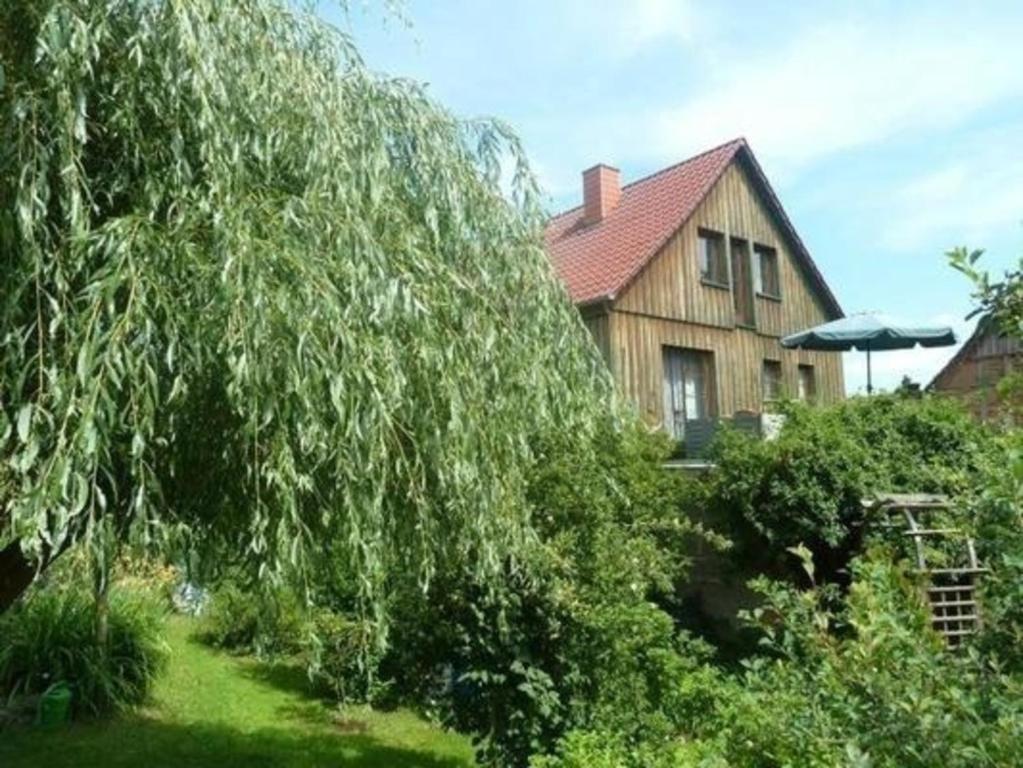 布罗特罗德Gemütliche Ferienwohnung in Elmenthal mit Terrasse, Grill und Garten的房子前面的一棵大树