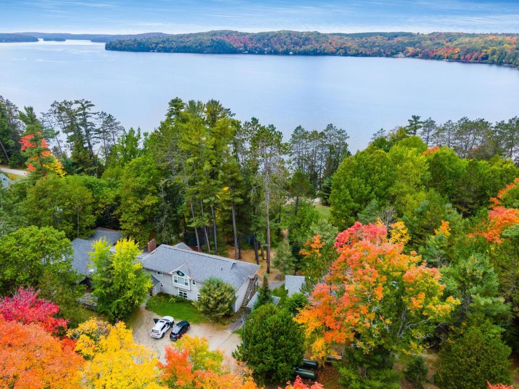 DwightMuskoka Waterfront Retreat的享有树木和湖泊的房屋的空中景致