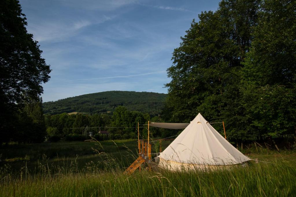 兹拉特霍里Glamping Zlaté Podlesí #2的一块高大的草地上的白色帐篷