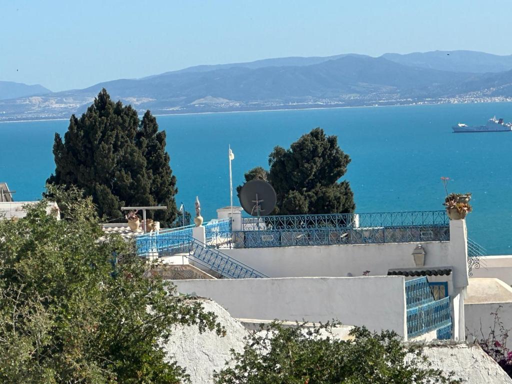 La perle sidi bou said平面图