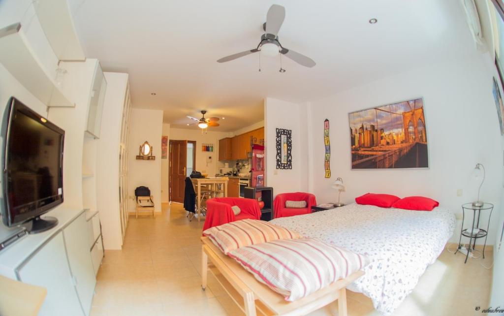 拉拉古纳Apartamento La Higuera的一间卧室配有一张床和一台平面电视